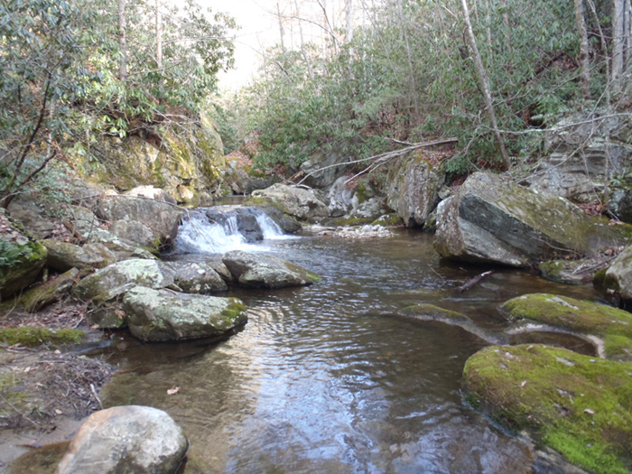 NC Mountain Tenkara Fly Fishing Guide Service