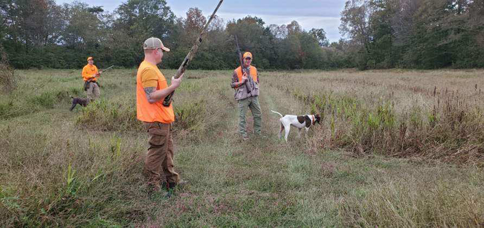 Western NC Guided Quail Hunts Guide Service