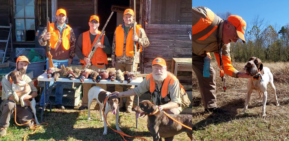 NC Guided Quail Hunts Guide Service