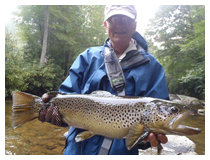 Blowing Rock Fly Fishing Guide - Carl Freeman