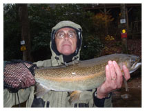 Blowing Rock Fly Fishing Guide - Carl Freeman