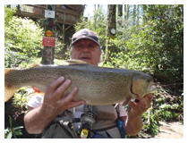 Blowing Rock Fly Fishing Guide - Carl Freeman