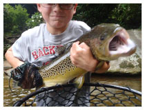 Blowing Rock Fly Fishing Guide - Carl Freeman